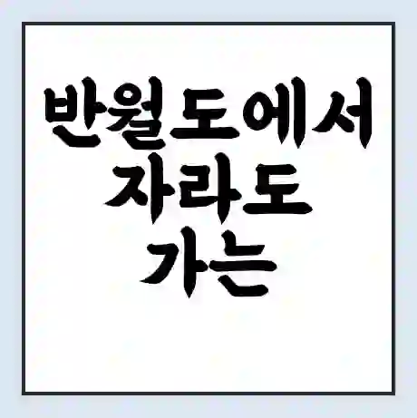 반월도에서 자라도 가는 배 시간표 | 배편요금 | 여객선 운항정보 | 승선권 예매